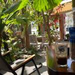 Peter Ti Profile Picture