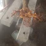 Đinh Len Profile Picture