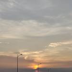 Thien Trần Profile Picture