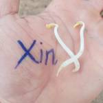 Kiệt Lục Profile Picture