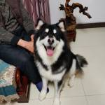 Steven Chen Profile Picture