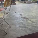 Gun Trương Profile Picture