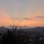 central Profile Picture