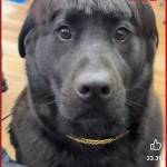 Nhan18 Profile Picture