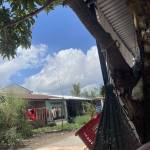 truv họbd Profile Picture