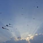 Long Nguyen Profile Picture