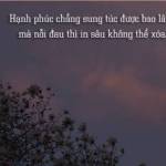 Teo Phạm Profile Picture