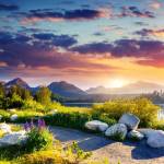 Truong Pham Profile Picture