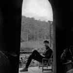 Vinh Le Profile Picture